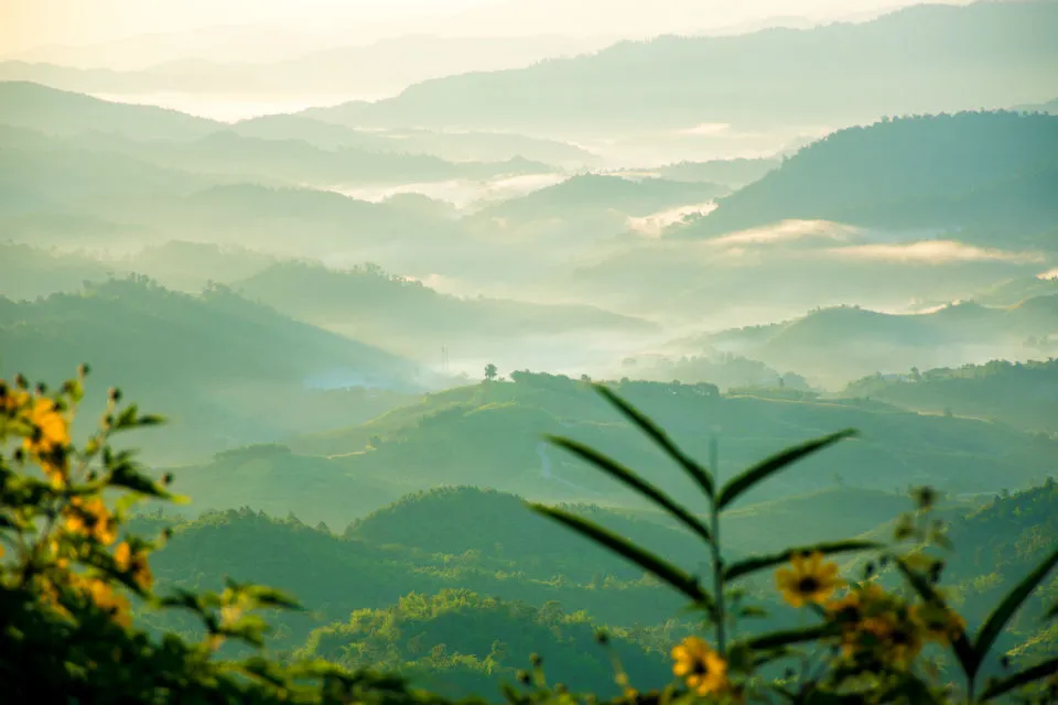Must-Visit Tourist Destinations in Doi Tung Mountain