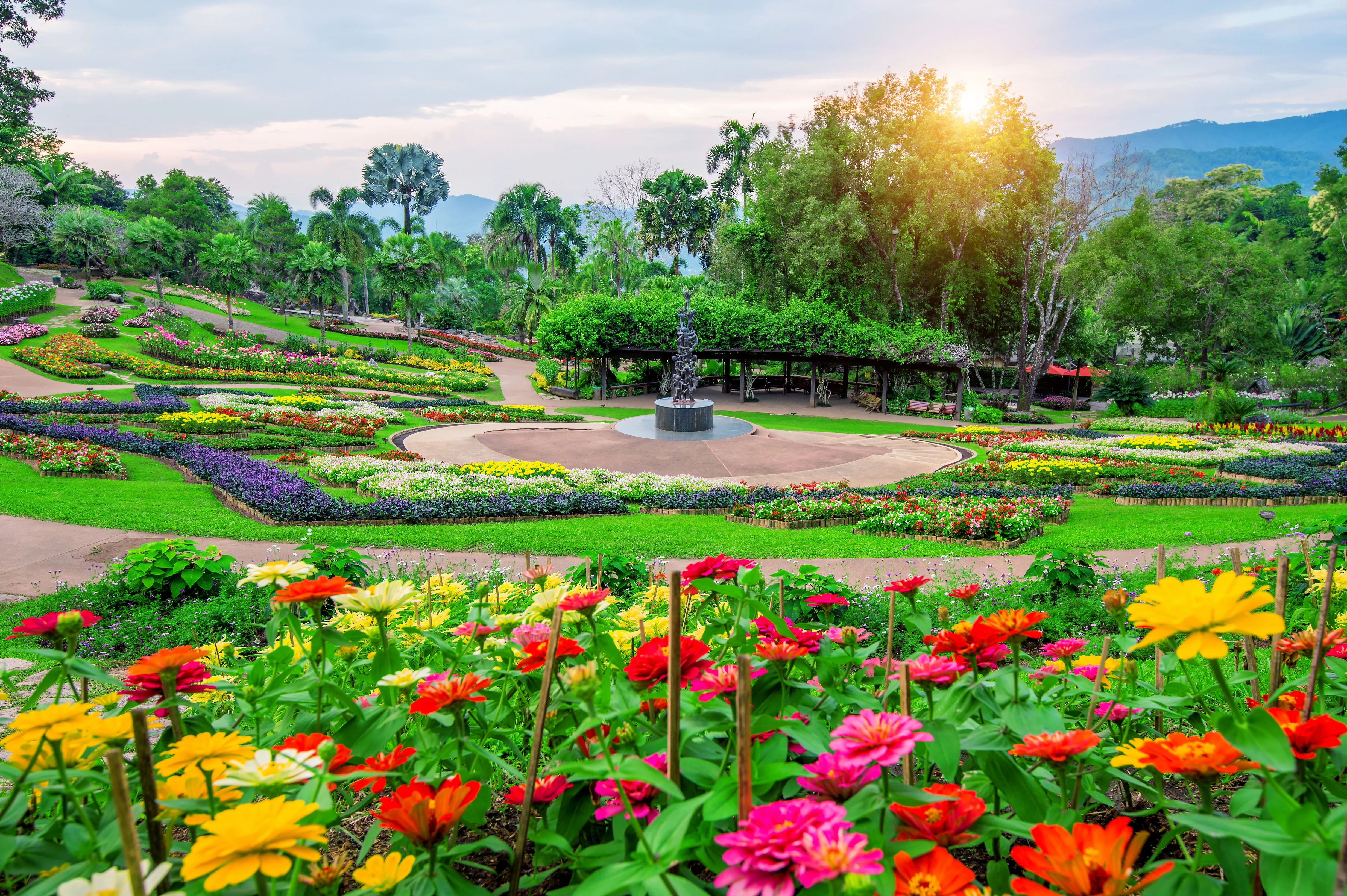 Explore Chiang Rai
