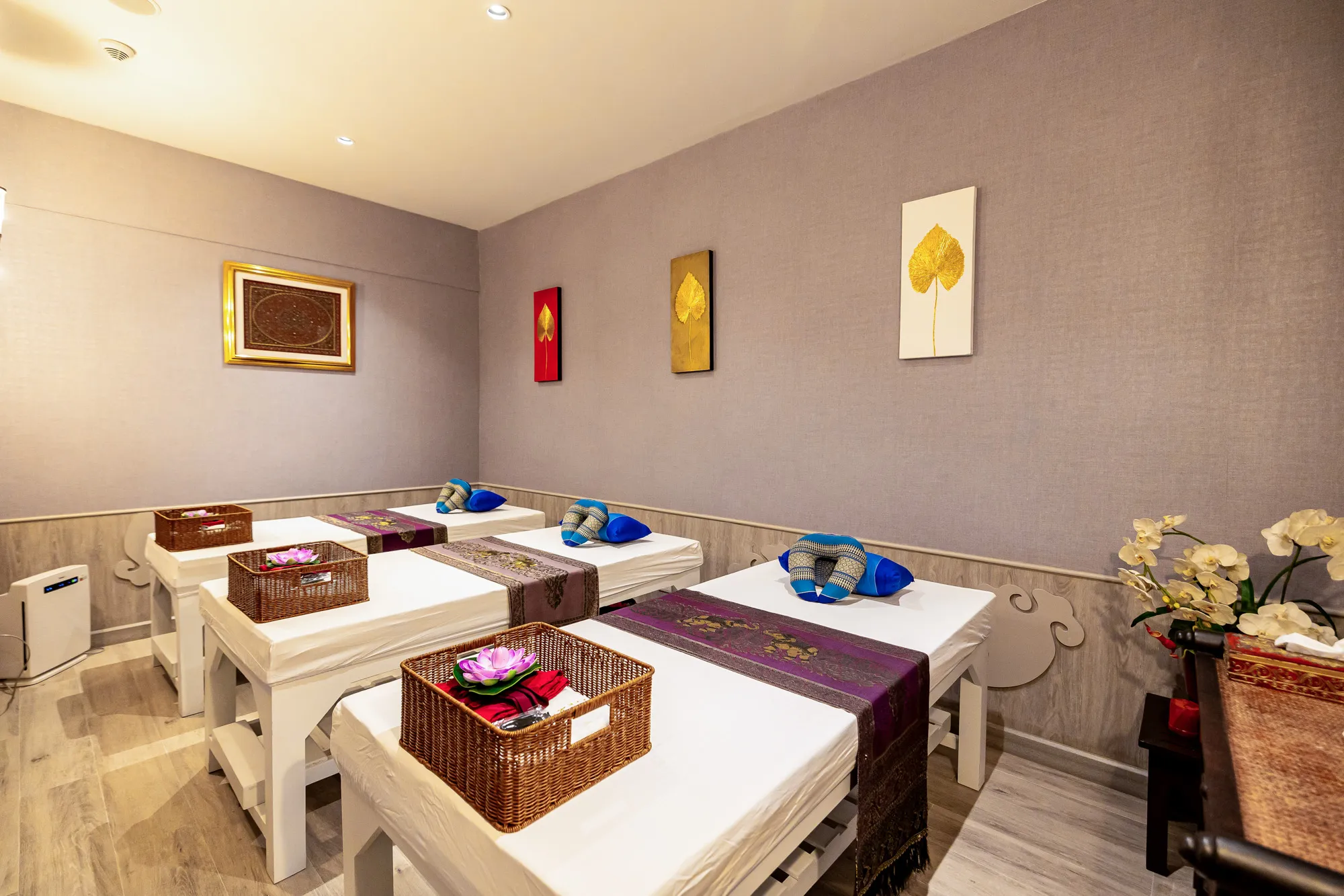 Tivaa Ratrii Spa 